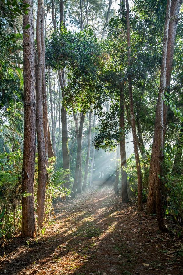 Khaokhoherbary Organicfarm&Resort Khao Kho Ngoại thất bức ảnh